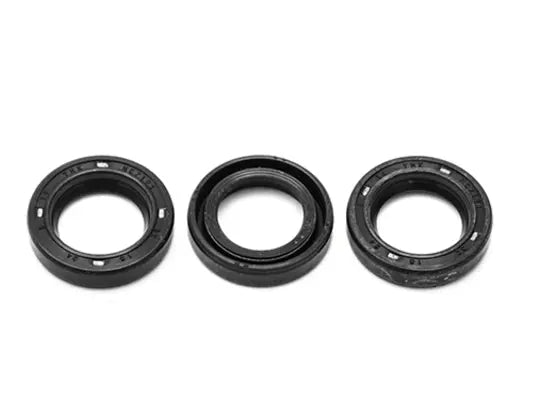 PUMP KIT CP PISTON OIL SEALS 15X24X5 (1X3 PCS)